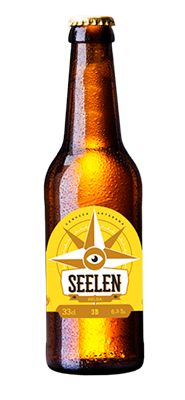 3B - Cerveza Seelen Artesana